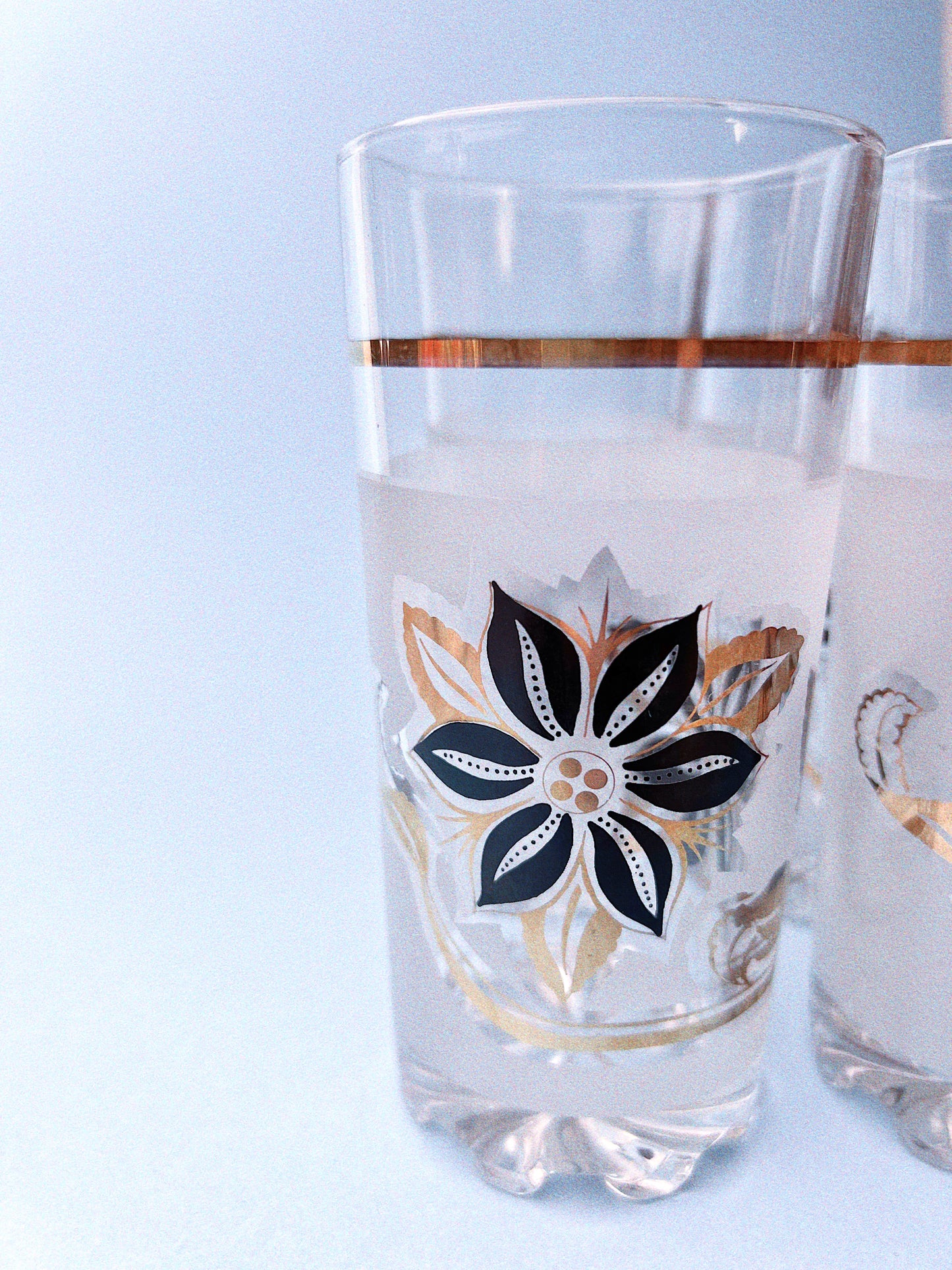 Lucille Frosted Floral Glasses, Set of 4