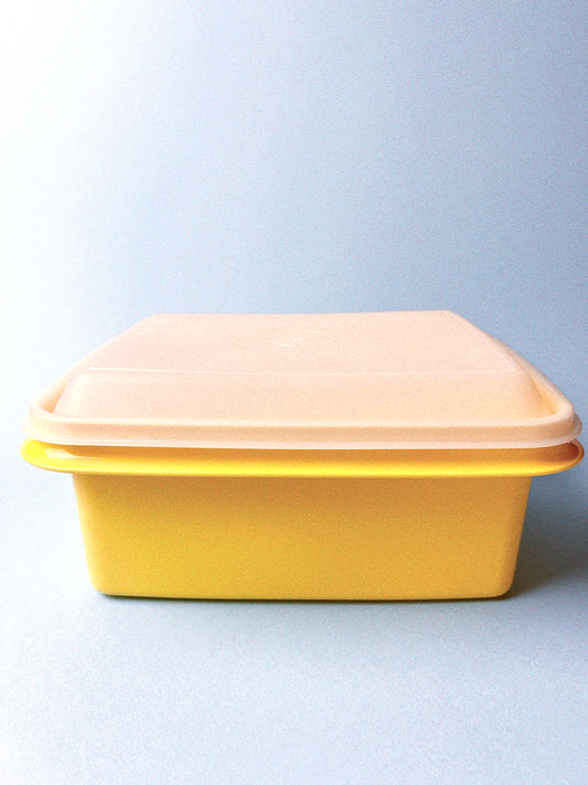 Tupperware Lunch Box Set