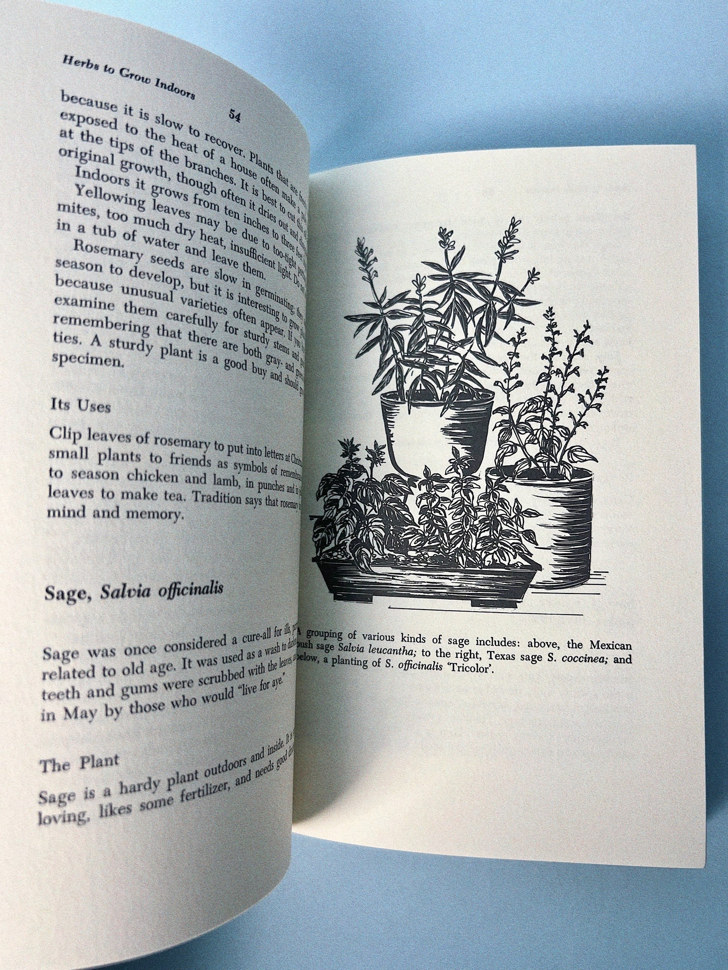 Vintage Herbs to Grow Indoors Book