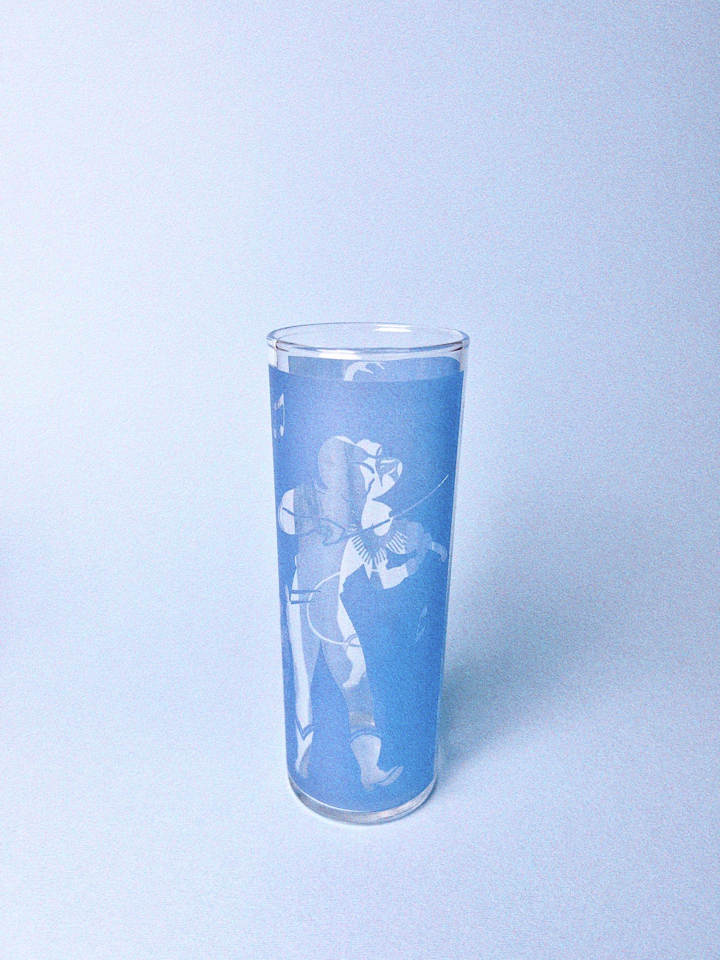Vintage Country Corral Cocktail Glasses, Set of 2 | Dominion Glass