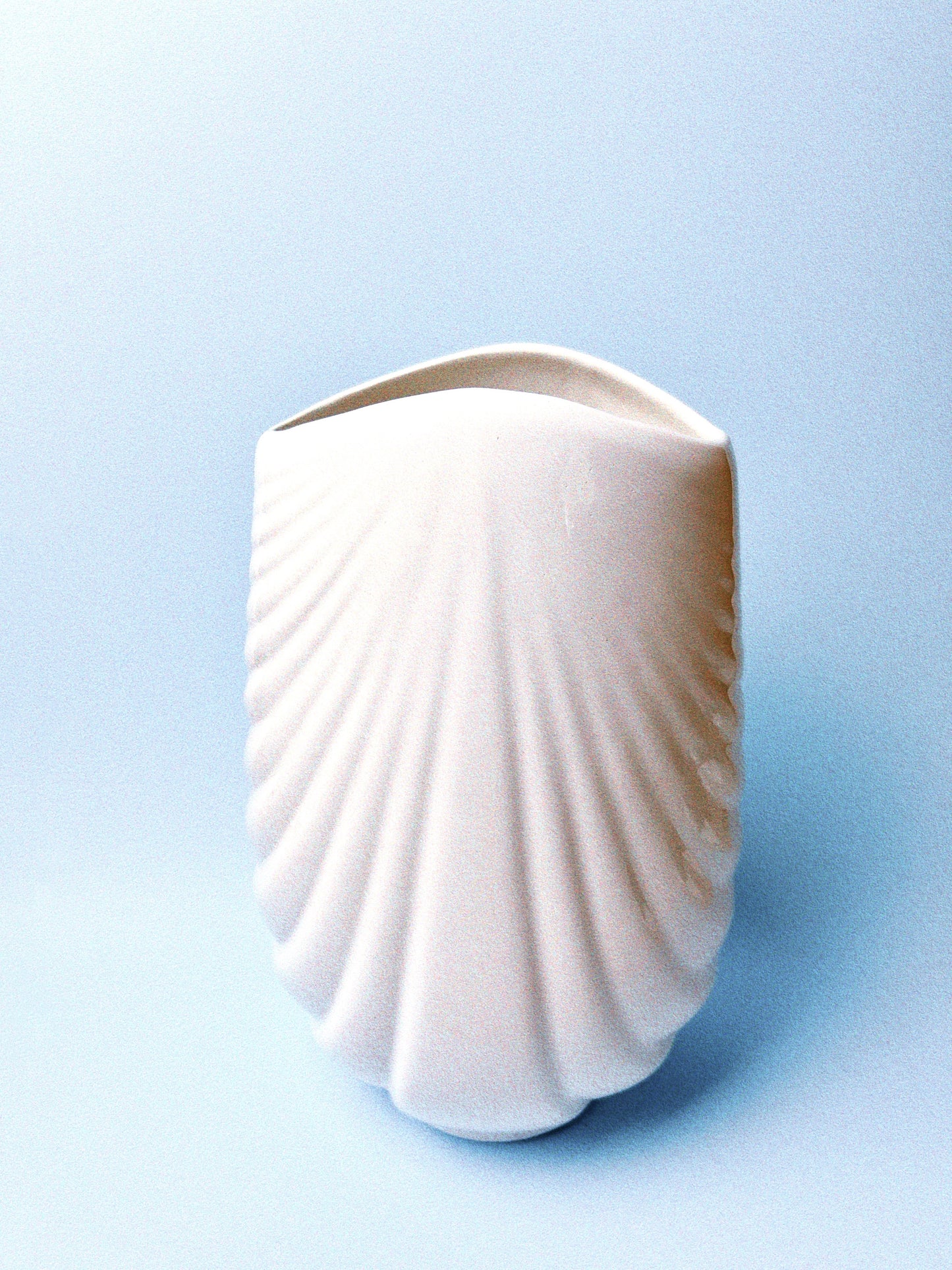 Pearl Draped Ceramic Shell | White