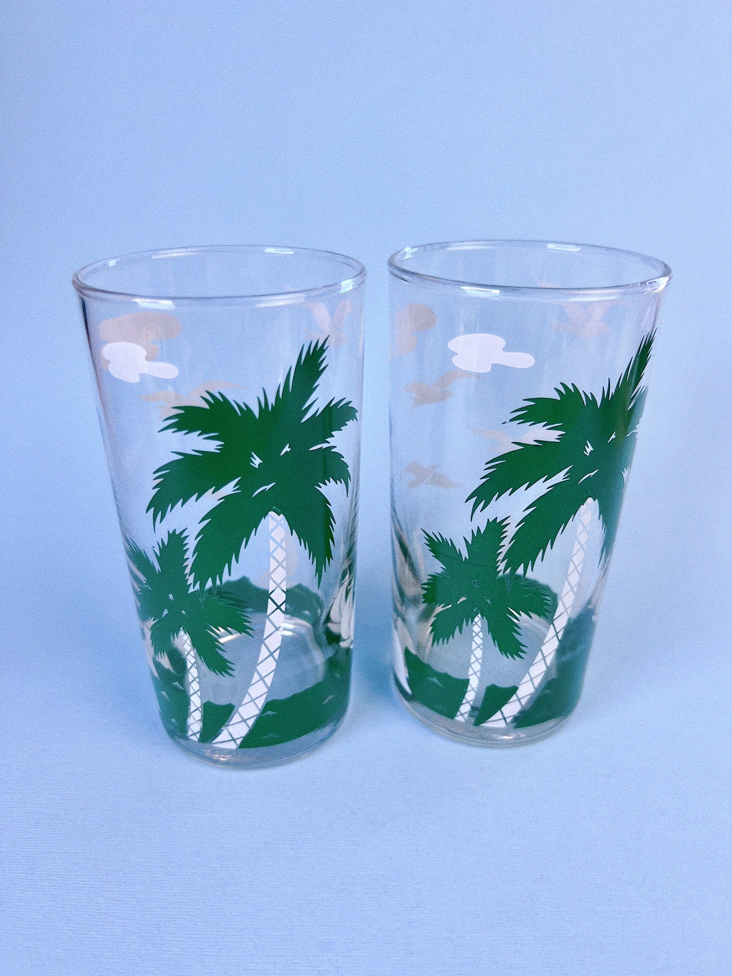 Tropical Highball Glasses, Set of 2