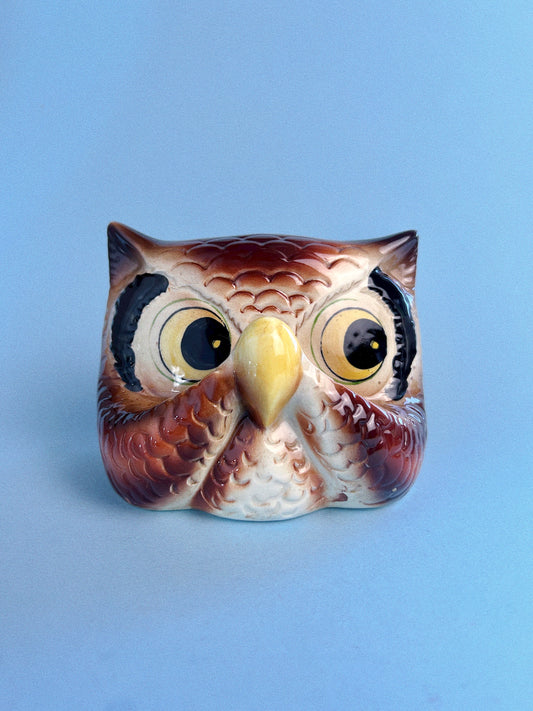 Vintage Owl Eye Glasses Holder