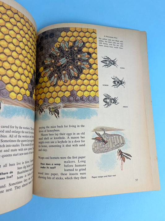 The HOW AND WHY Wonder Book of INSECTS
