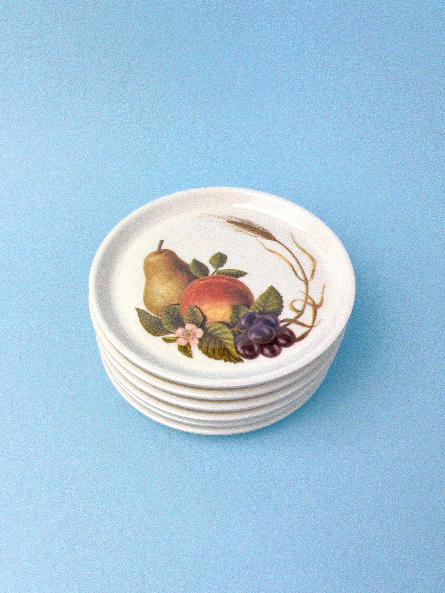 Still Life Fruit Coasters, Set of 6