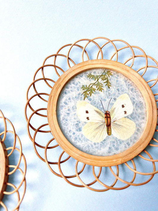 Lorelai Coasters, Set of 2