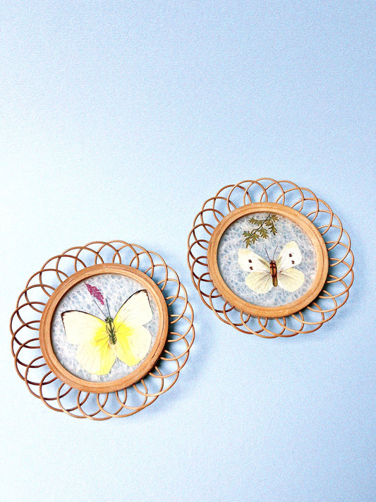 Lorelai Coasters, Set of 2