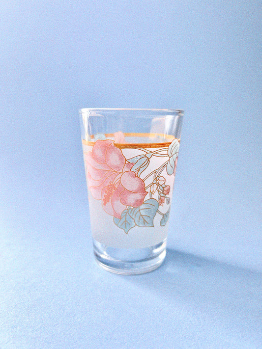 Vintage Hibiscus Juice Glasses, Set of 4