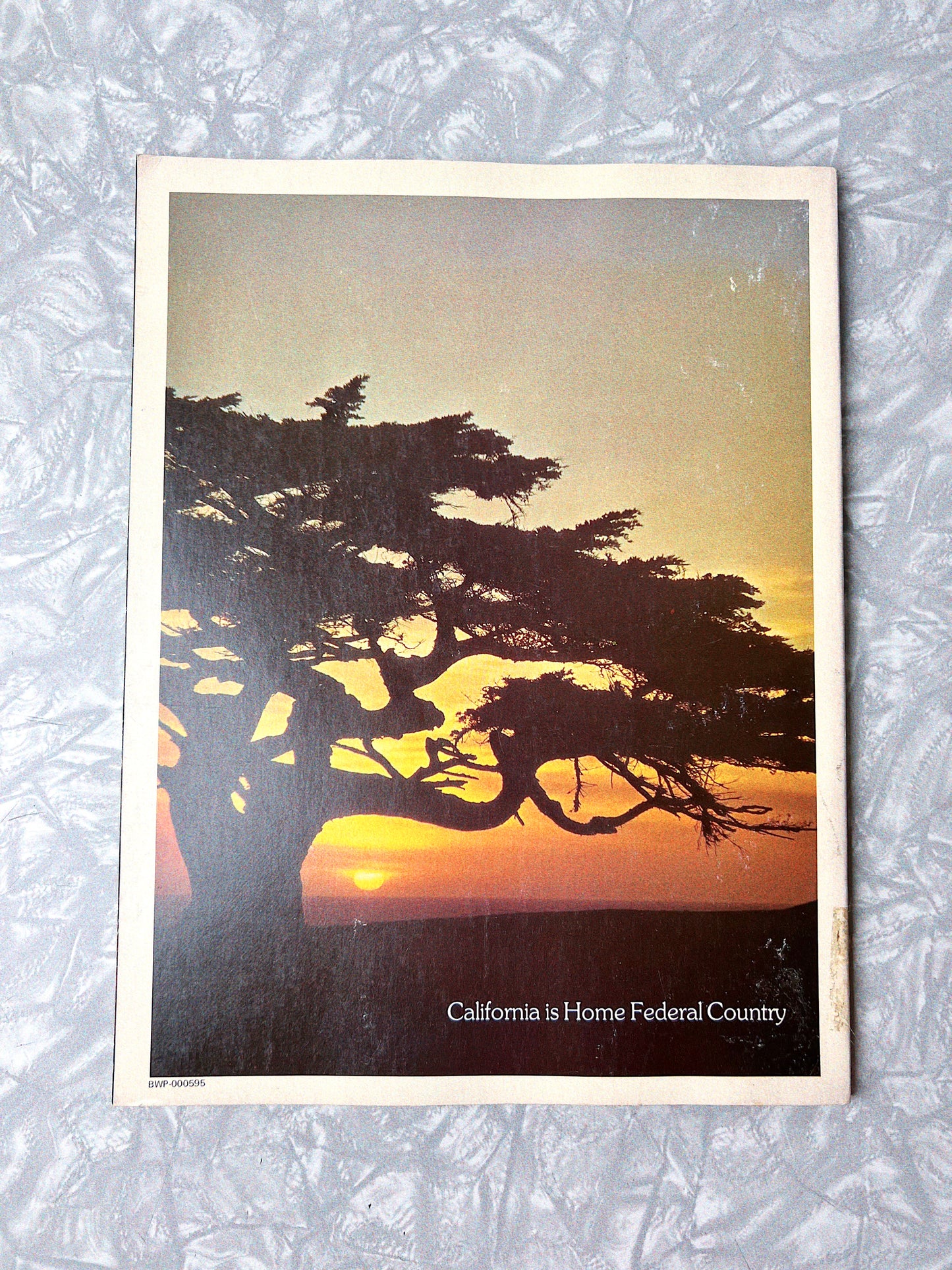 Vintage Colourful California Book