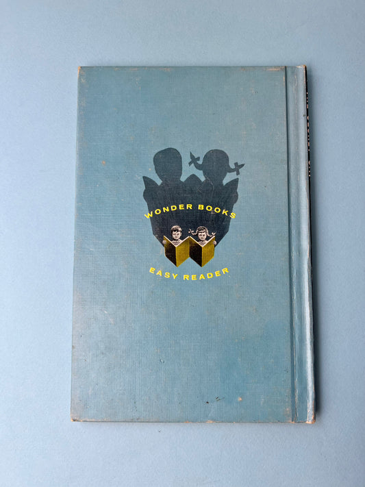 Vintage Wonder Book - The Secret Cat