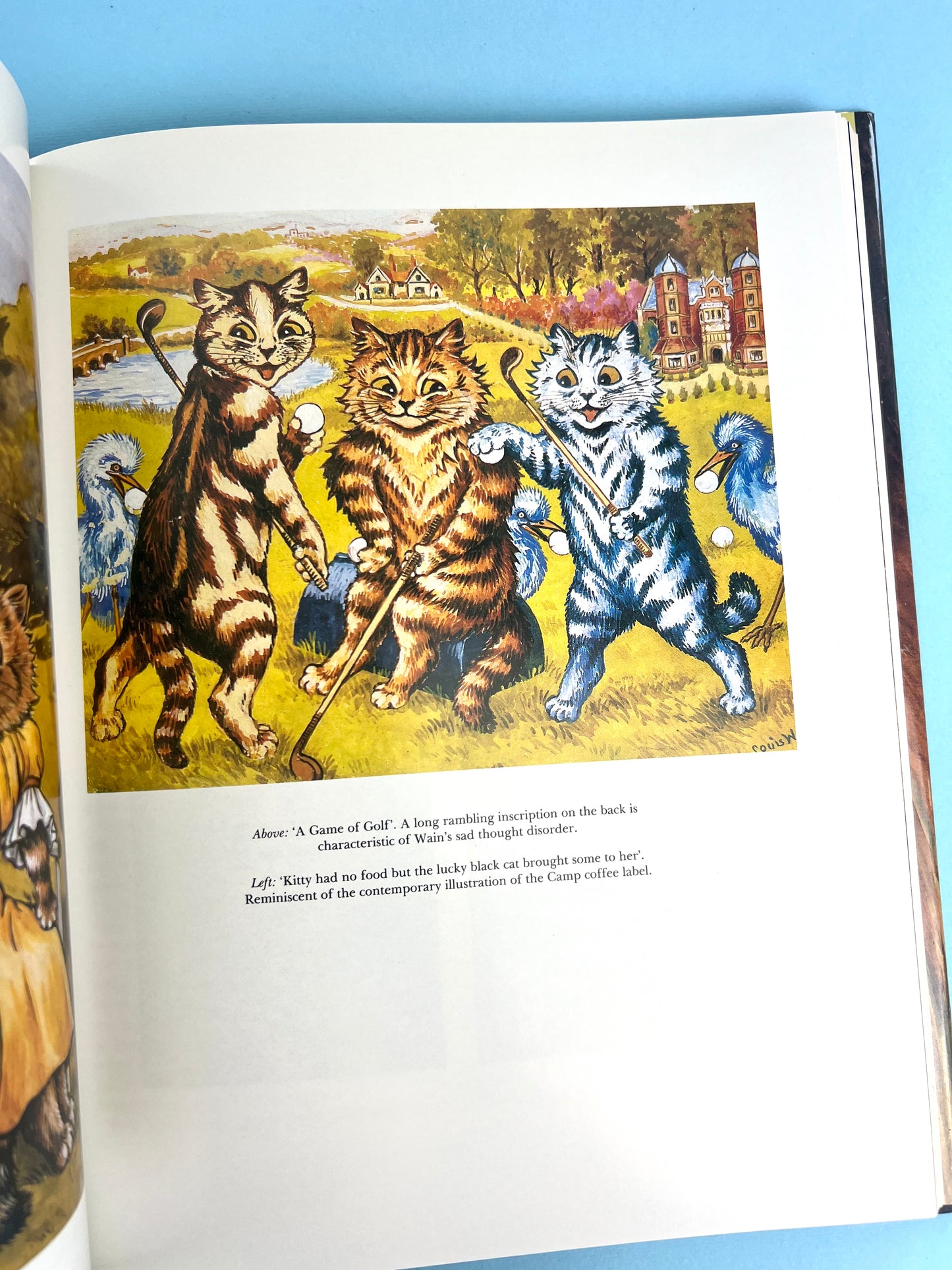 Vintage 90's Louis Wain - The Man Who Drew Cats Book