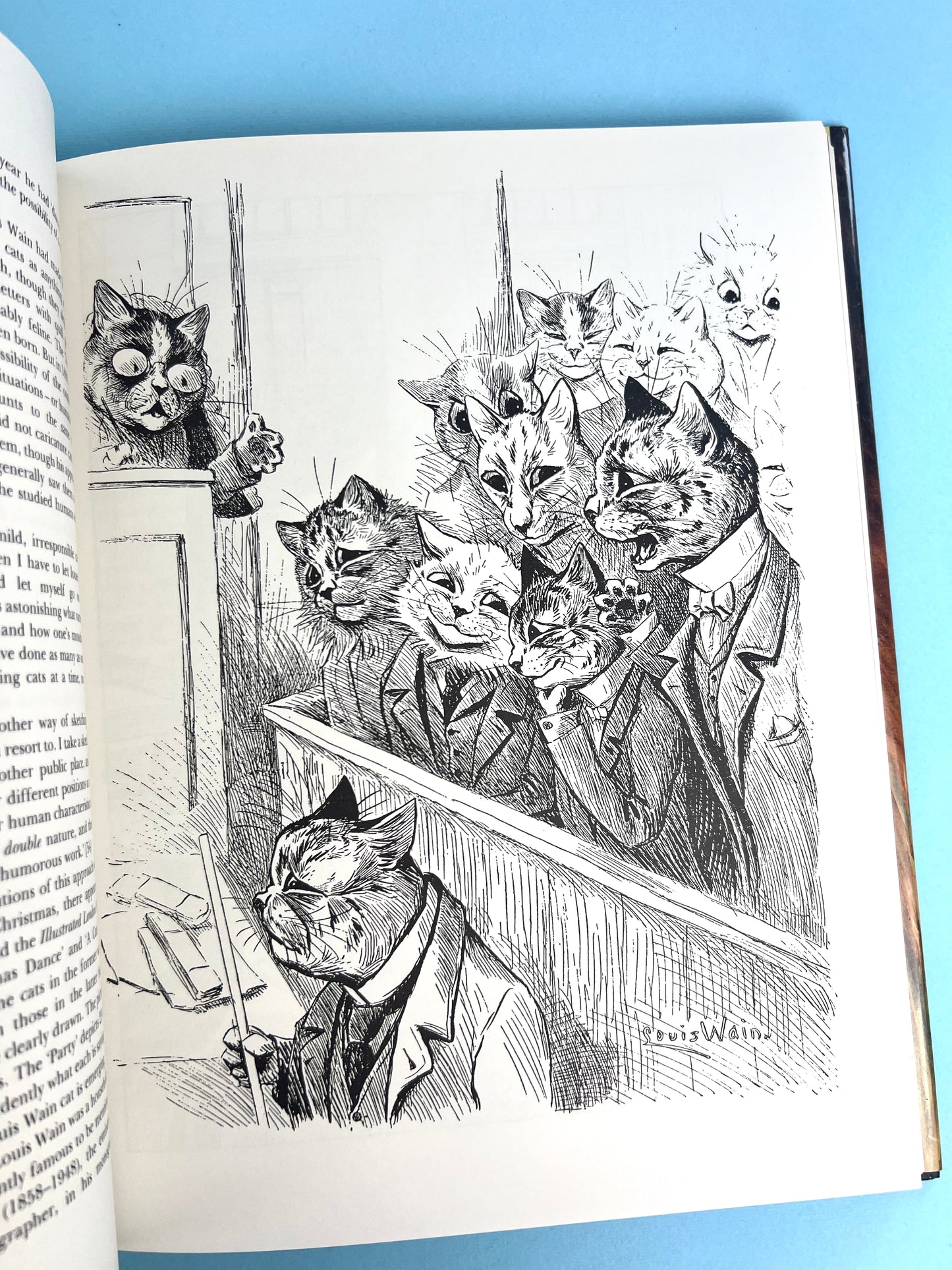 Vintage 90's Louis Wain - The Man Who Drew Cats Book