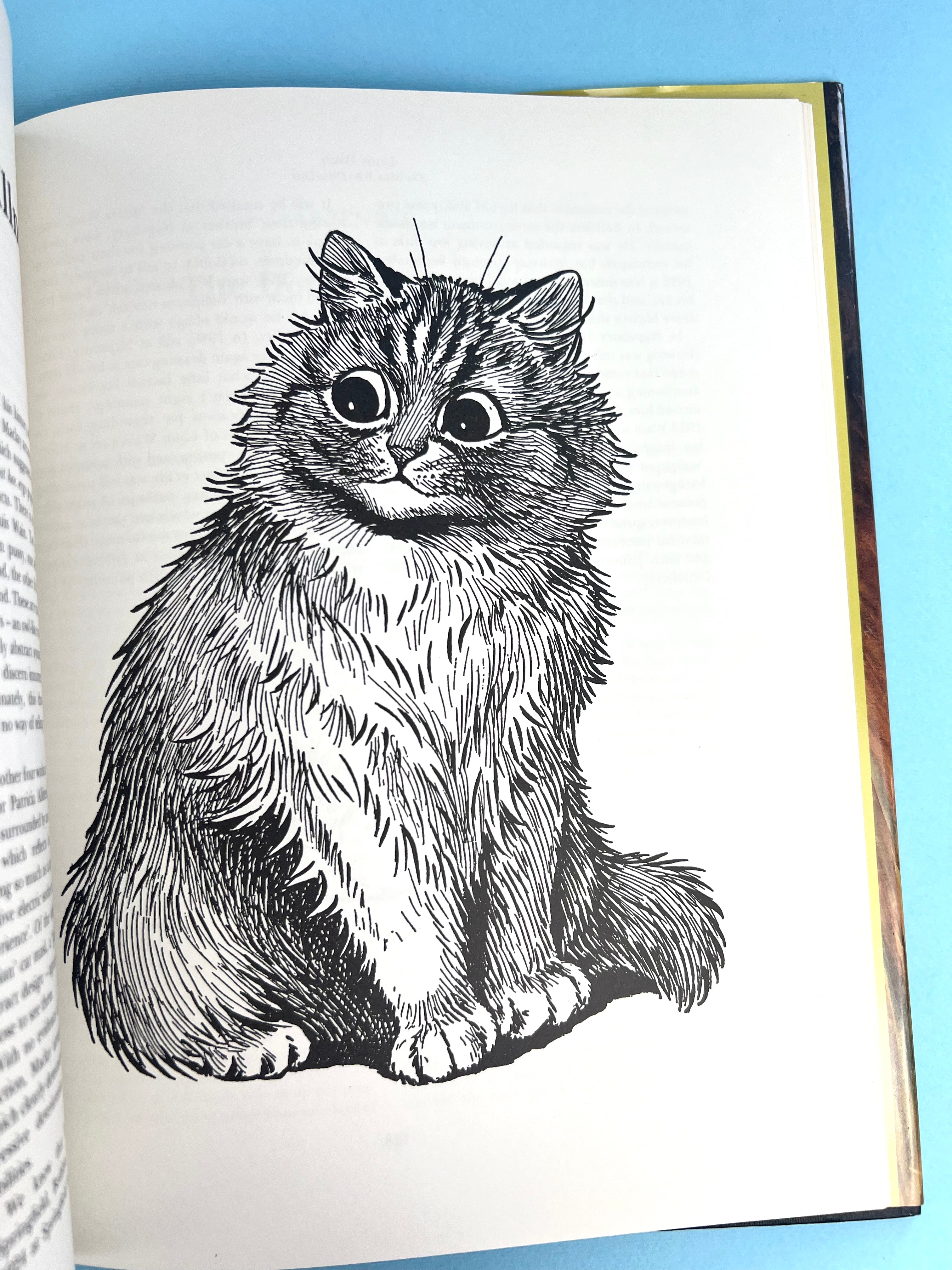 Vintage 90's Louis Wain - The Man Who Drew Cats Book – Afterall