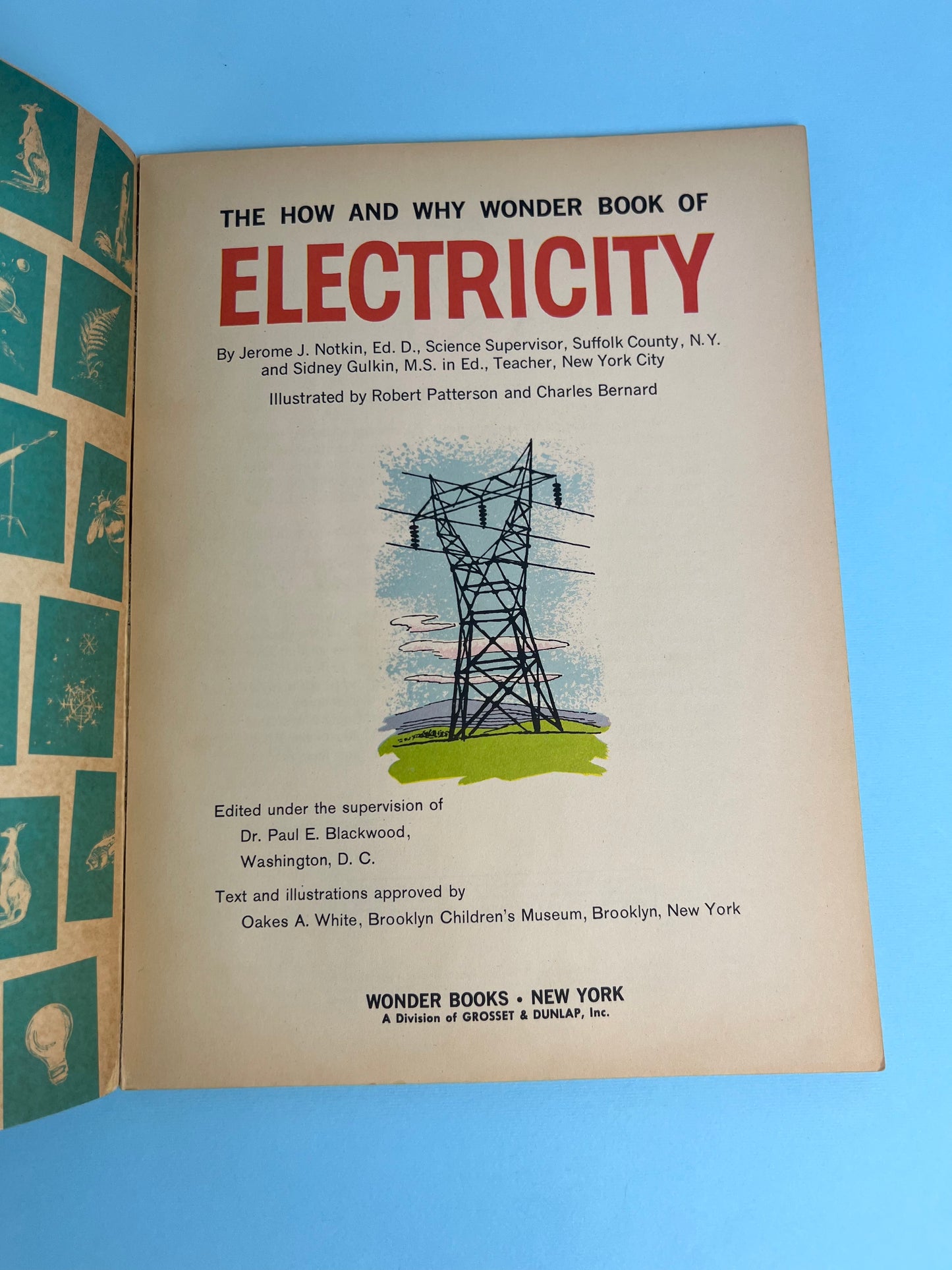 The HOW AND WHY Wonder Book of ELECTRICITY