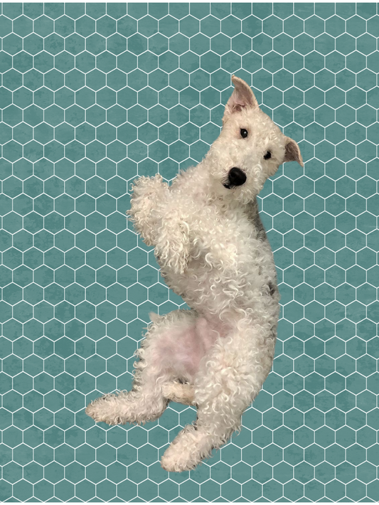 Hex Tile Panel Roll | Wild Amazon