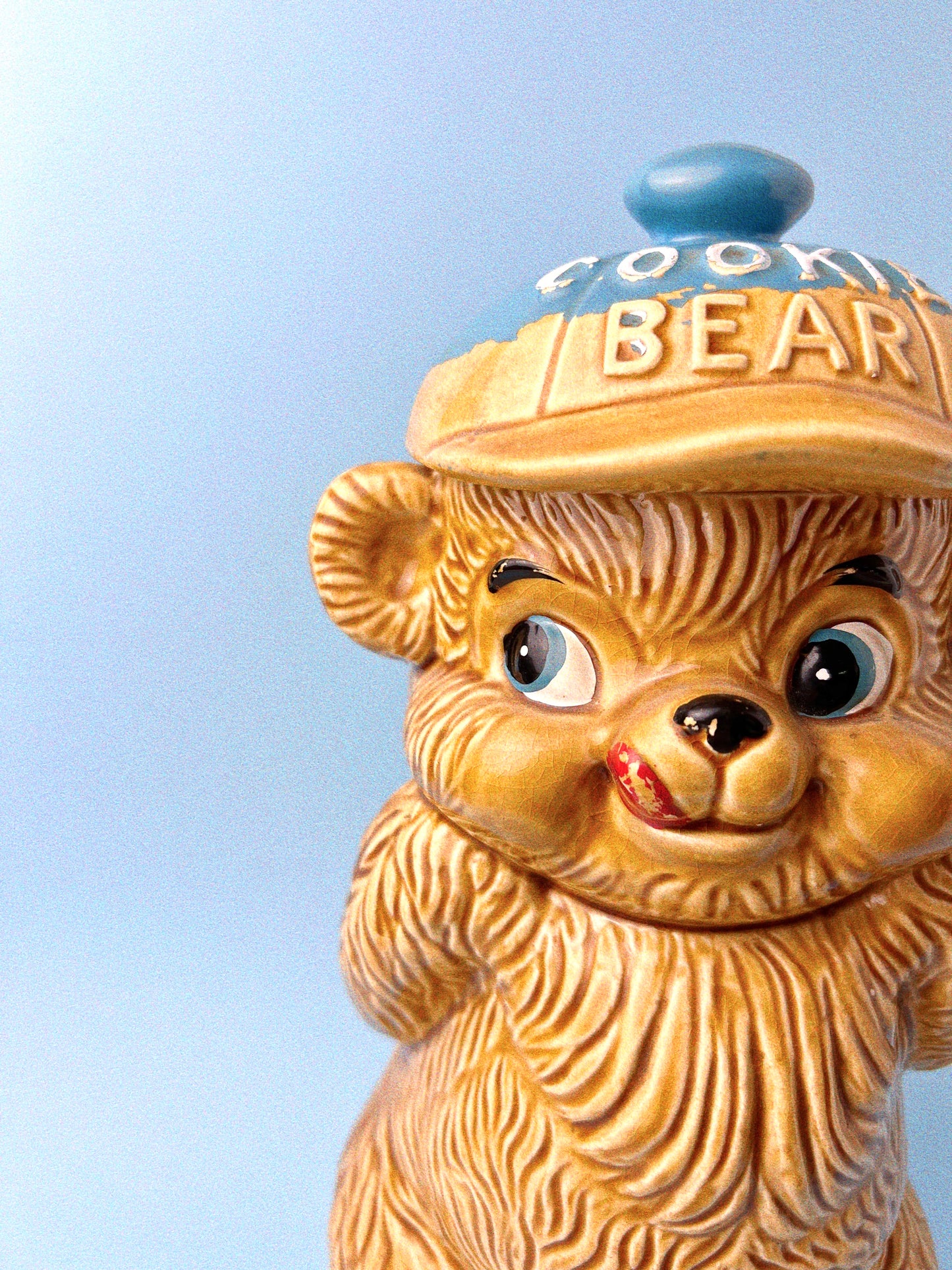 Vintage Cookie Bear Cookie Jar | Enesco