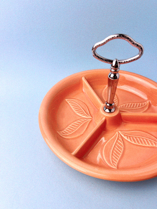 Savanna Divided Dish | Coral