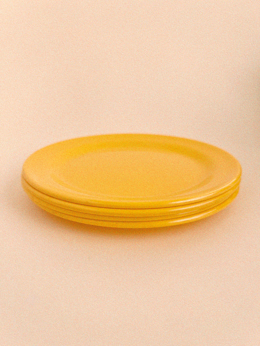 Sunny Melamine Dinner Plates